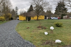 large-estate-cleanout-white-rock-5