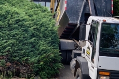 live-load-disposal-bin-loading-north-vancouver